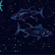 Pisces Daily Horoscope for March 09: An overall good day for you