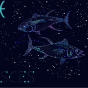 Pisces Horoscope predictions for March 15: Don’t be a risk-taker today