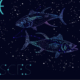 Pisces Horoscope predictions for March 28: Great day to shine on and sprinkle