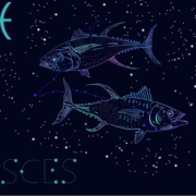 Pisces Horoscope predictions for March 29: Be careful on the work front