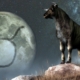 Mercury’s Retrogression in Taurus on May 10: Impact on different zodiac signs