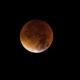 Lunar Eclipse 2022 (Chandra Grahan): Which zodiac signs can expect good news
