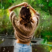 Weekly Numerology Predictions from 28th November to 4th December, 2022